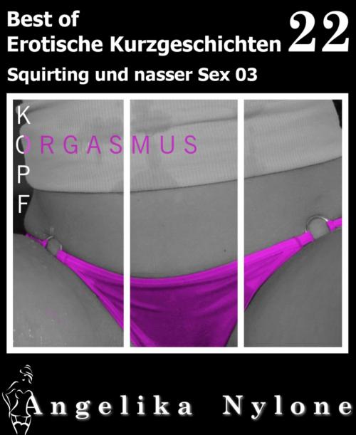 Cover of the book Erotische Kurzgeschichten - Best of 22 by Angelika Nylone, BookRix