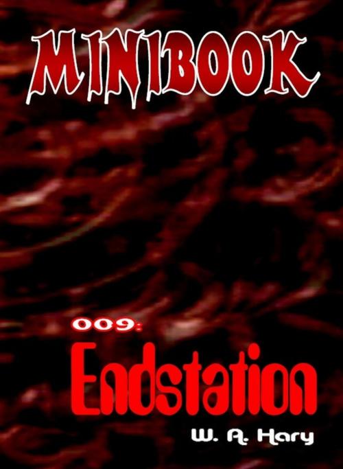 Cover of the book MINIBOOK 009: Endstation by W. A. Hary, BookRix