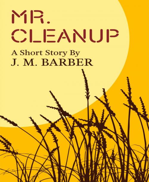 Cover of the book Mr. Cleanup by J.M. Barber, BookRix
