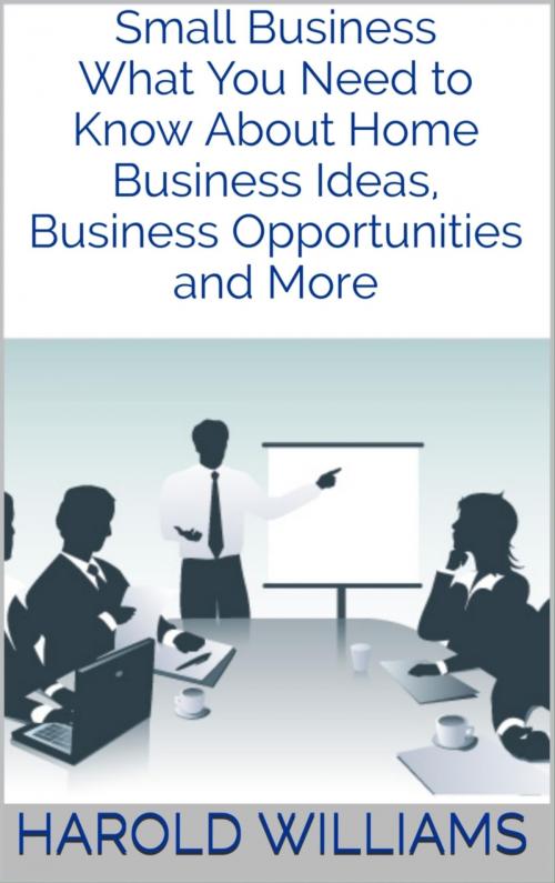 Cover of the book Small Business by Harold Williams, BookRix