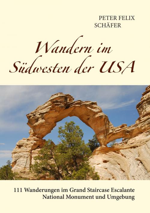 Cover of the book Wandern im Südwesten der USA by Peter Felix Schäfer, Books on Demand