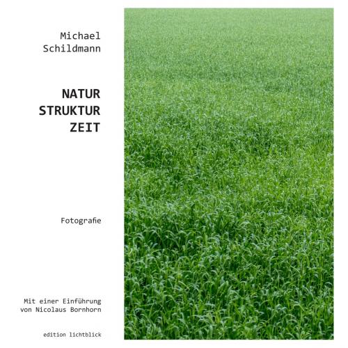 Cover of the book Natur-Struktur-Zeit by , Books on Demand