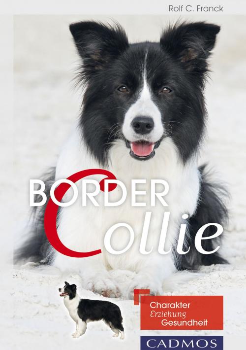 Cover of the book Border Collie by Rolf C. Franck, Cadmos Verlag