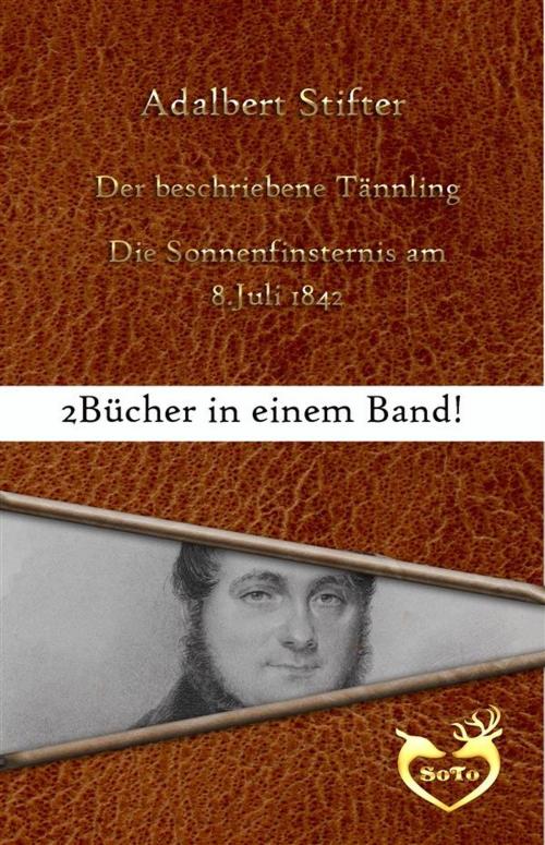 Cover of the book Der beschriebene Tännling/Die Sonnenfinsternis am 8. Juli 1842 by Adalbert Stifter, Adalbert Stifter