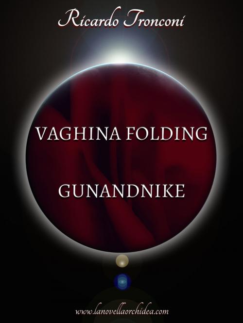 Cover of the book Vaghina Folding e Gunandnike by Ricardo Tronconi, Ricardo Tronconi