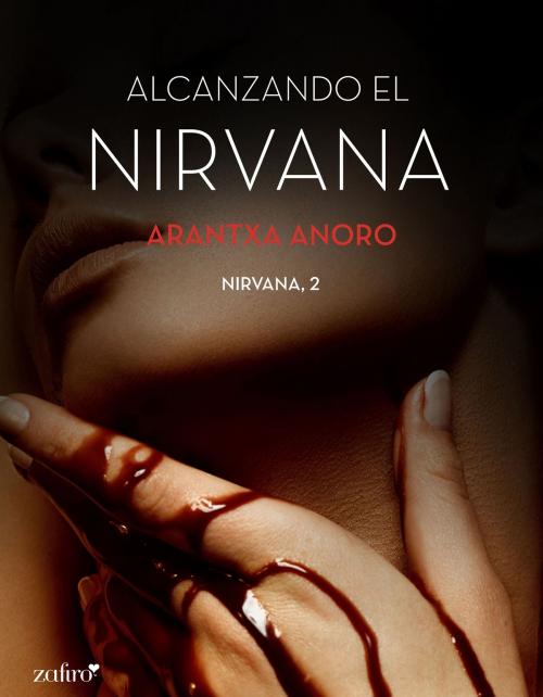 Cover of the book Alcanzando el Nirvana by Arantxa Anoro, Grupo Planeta