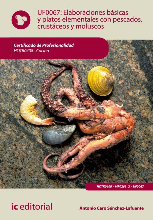 Cover of the book Elaboraciones básicas y platos elementales con pescados, crustáceos y moluscos by Antonio Caro Sánchez-Lafuente, IC Editorial