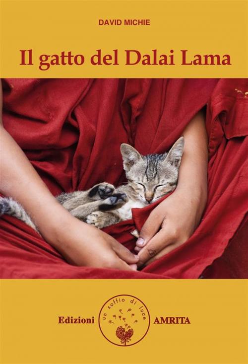 Cover of the book Il gatto del Dalai Lama by David Michie, Amrita Edizioni