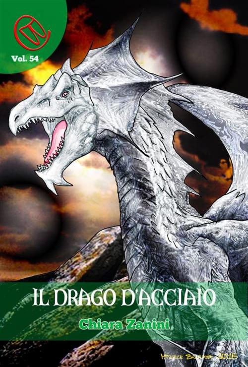 Cover of the book Il Drago d'Acciaio by Chiara Zanini, Marcello Orbiglioli, Wizards and Black Holes