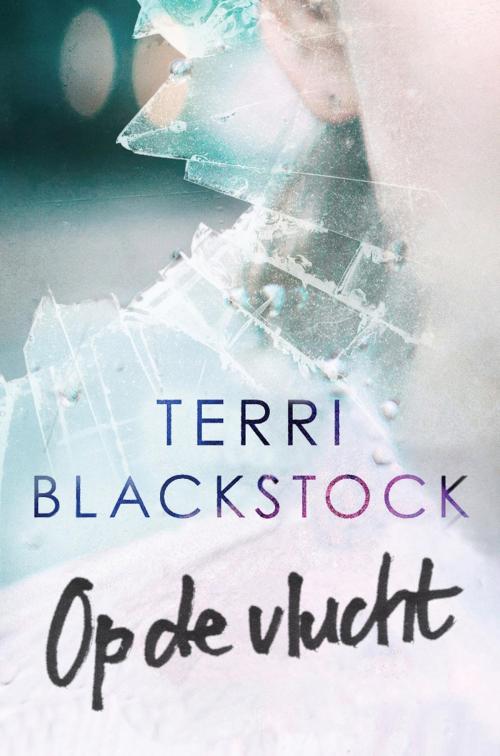 Cover of the book Op de vlucht by Terri Blackstock, VBK Media