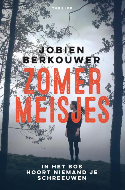 Cover of the book Zomermeisjes by Jobien Berkouwer, Bruna Uitgevers B.V., A.W.
