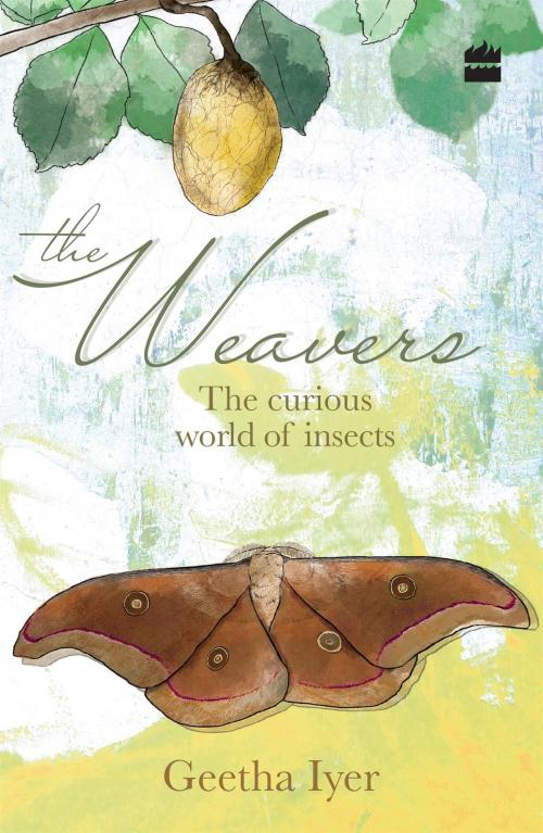 Cover of the book The Weavers: The Curious World of Insects by Geetha Iyer, HarperCollins Publishers India