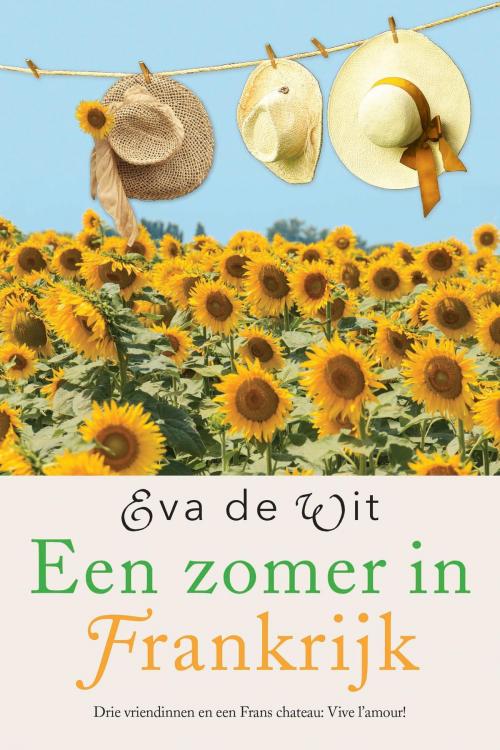 Cover of the book Een zomer in Frankrijk by Eva de Wit, VBK Media