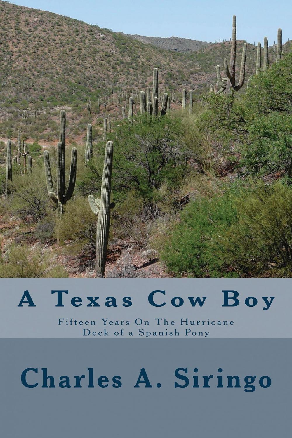 Big bigCover of A Texas Cow Boy (Illustrated Edition)