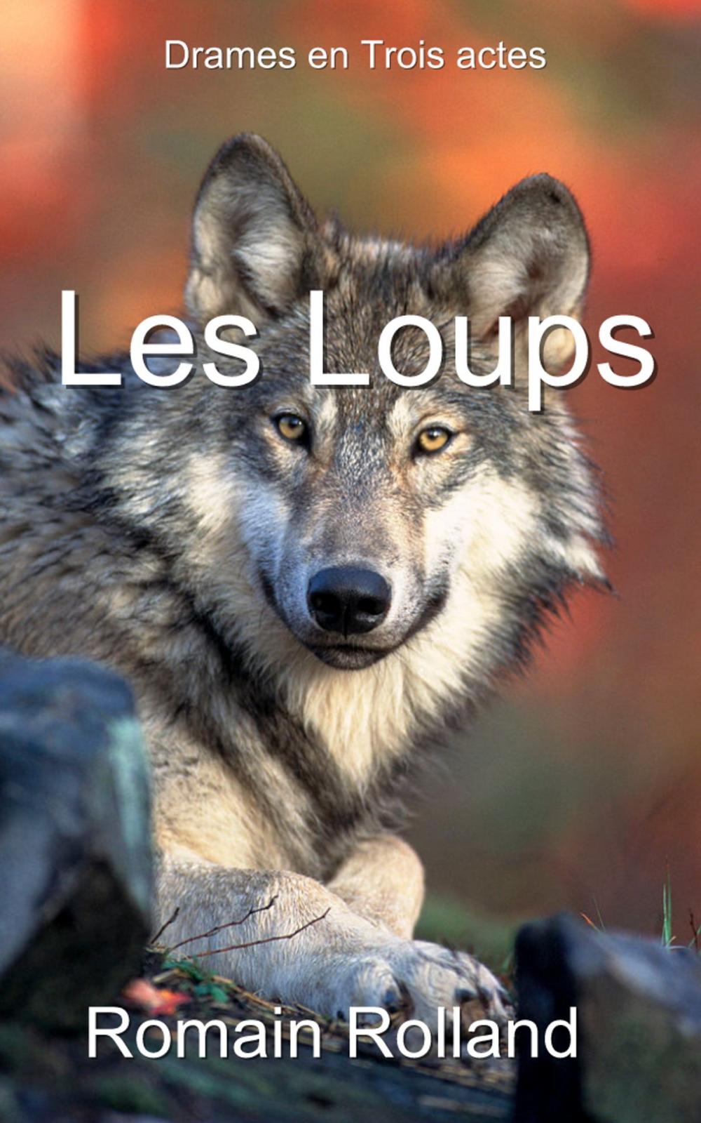Big bigCover of Les Loups
