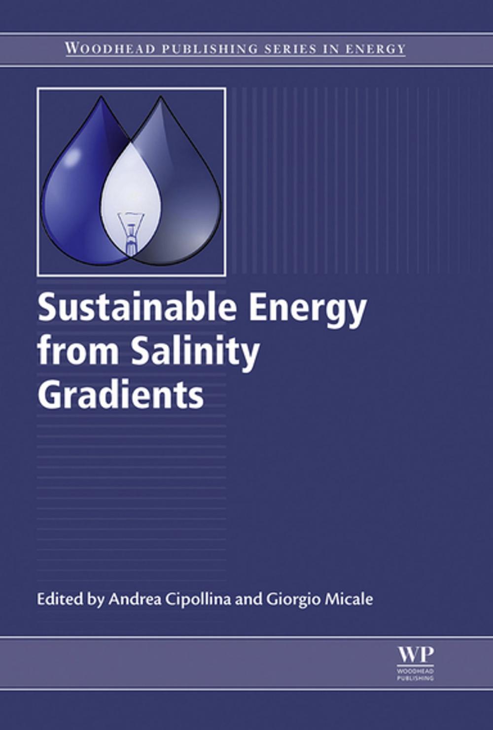 Big bigCover of Sustainable Energy from Salinity Gradients