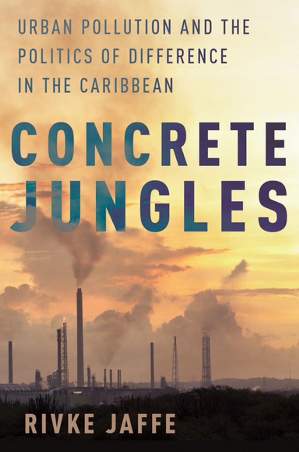 Big bigCover of Concrete Jungles