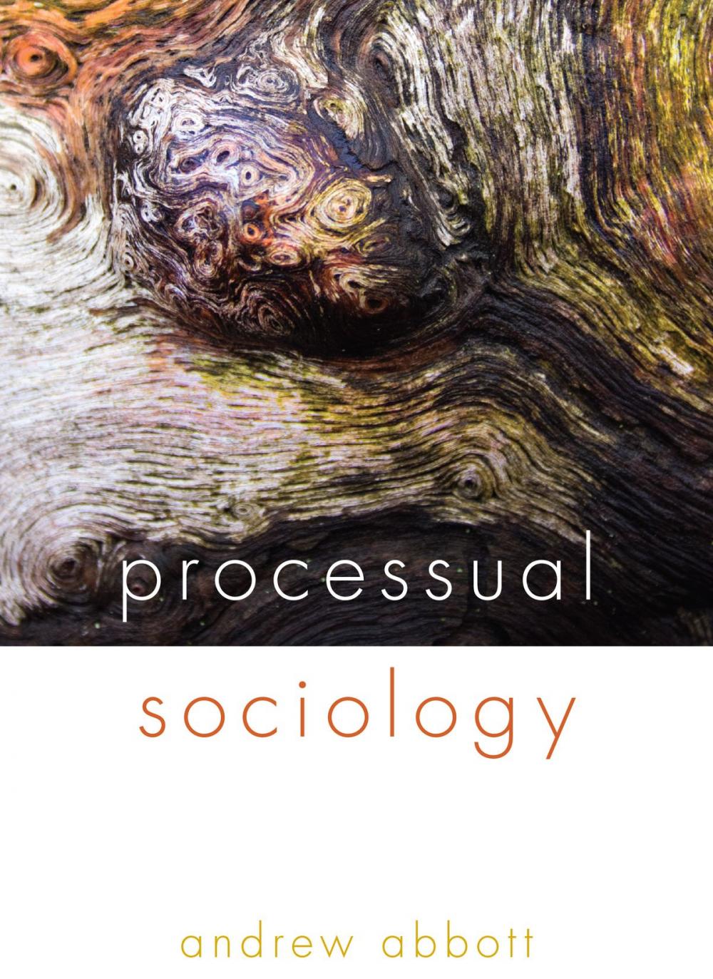 Big bigCover of Processual Sociology