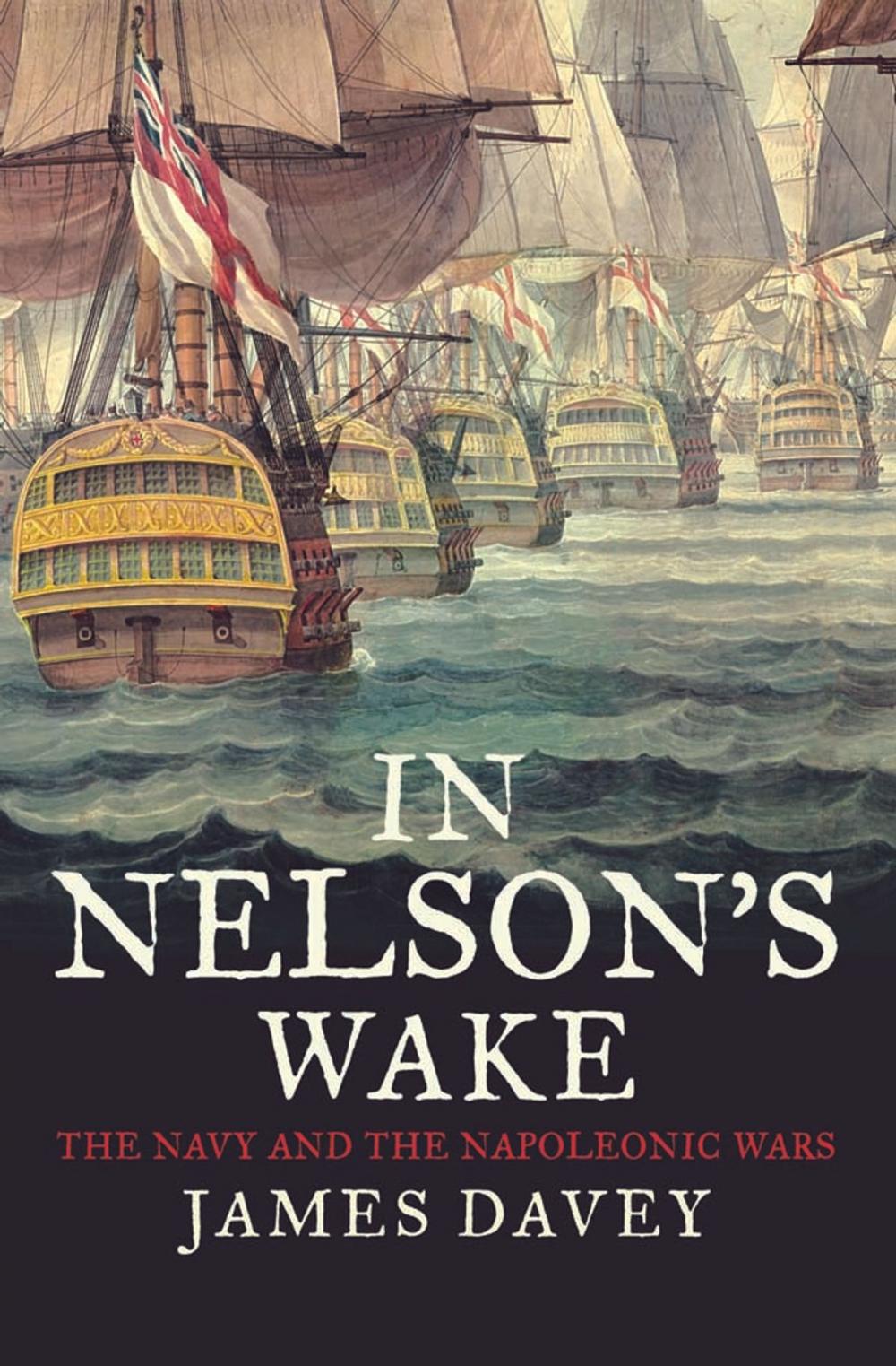 Big bigCover of In Nelson's Wake
