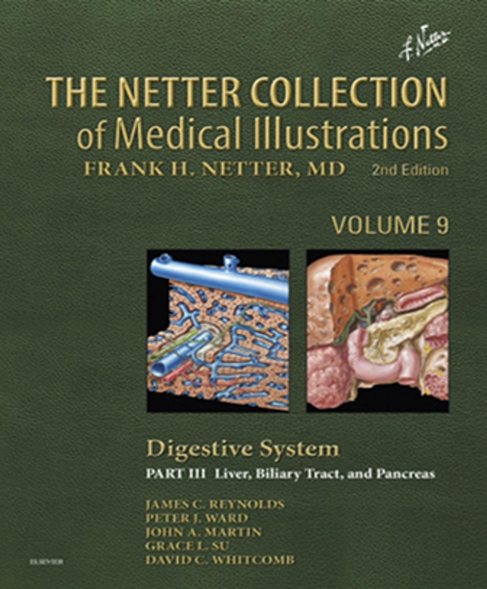 Big bigCover of The Netter Collection of Medical Illustrations: Digestive System: Part III - Liver, etc.