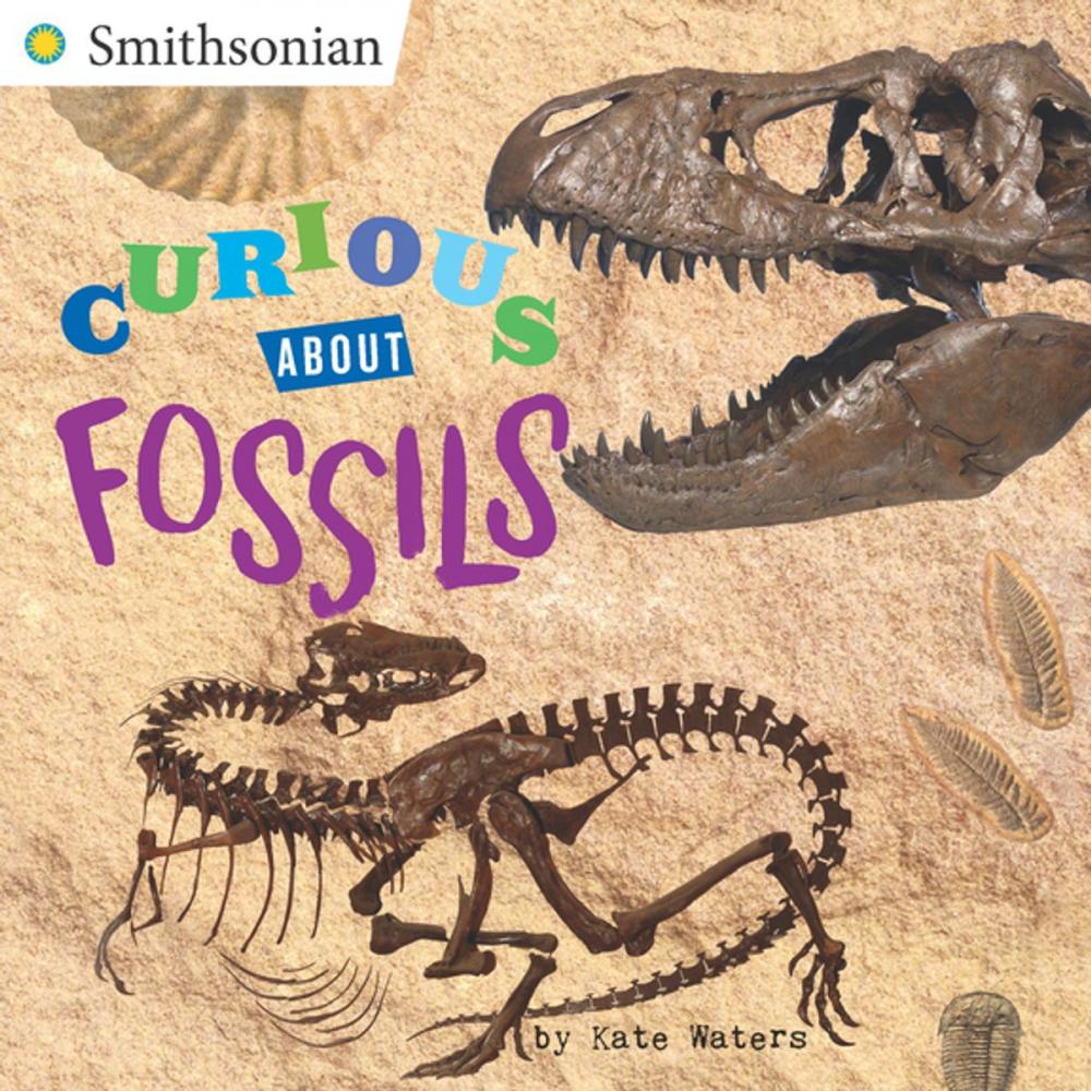 Big bigCover of Curious About Fossils