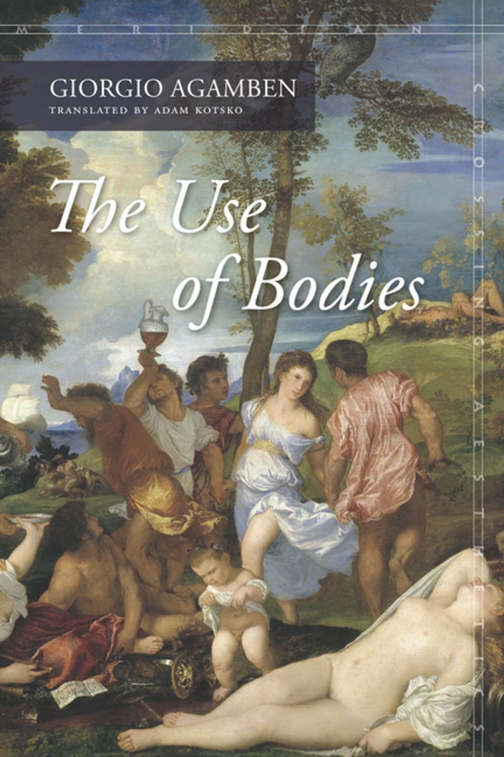 Big bigCover of The Use of Bodies