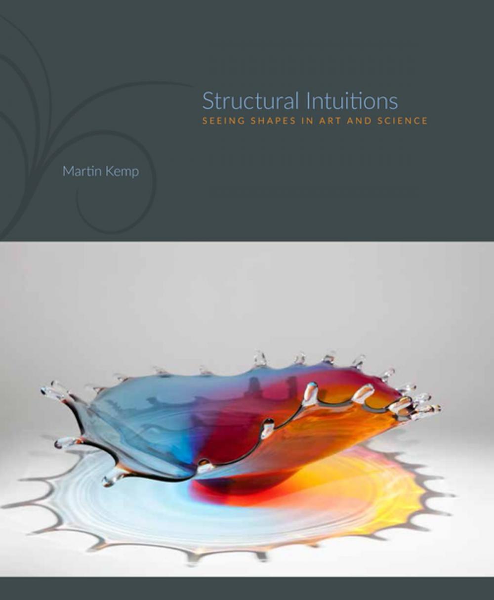 Big bigCover of Structural Intuitions