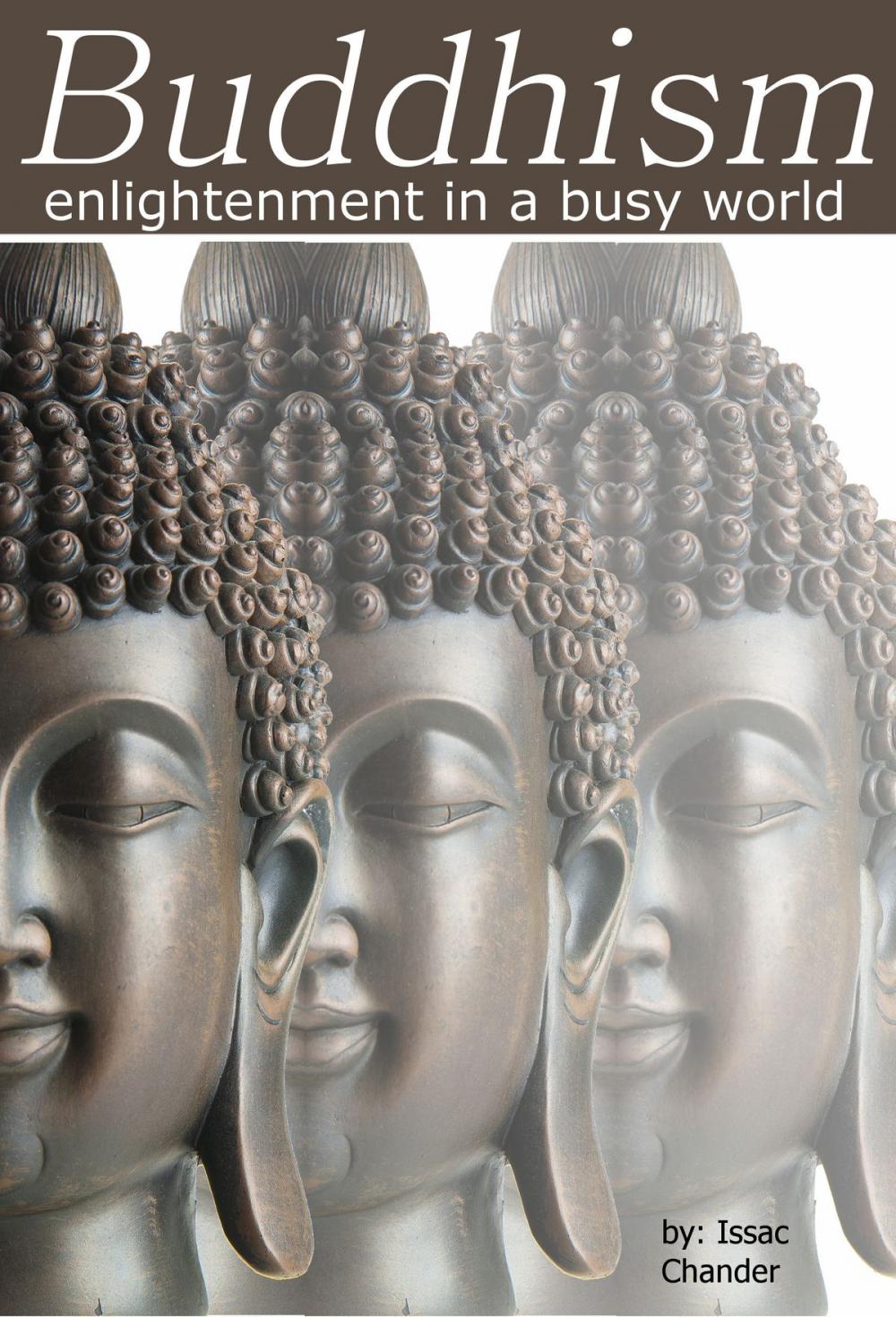 Big bigCover of Buddhism: Enlightenment in a Busy World