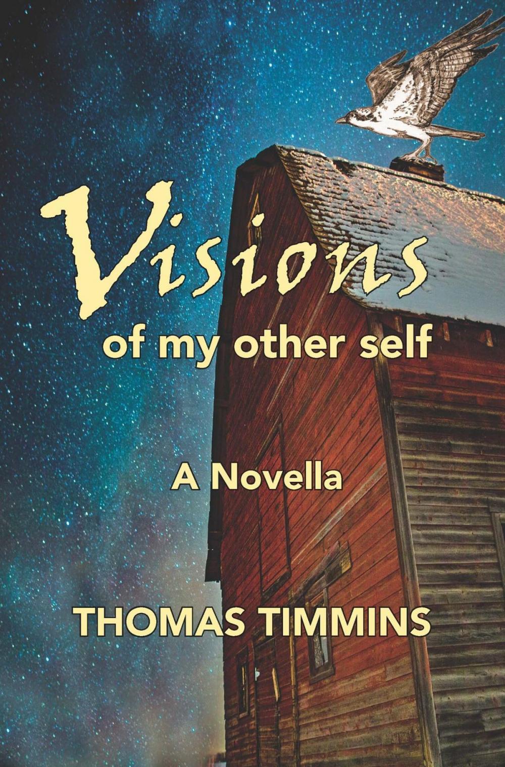 Big bigCover of Visions of my Other Self