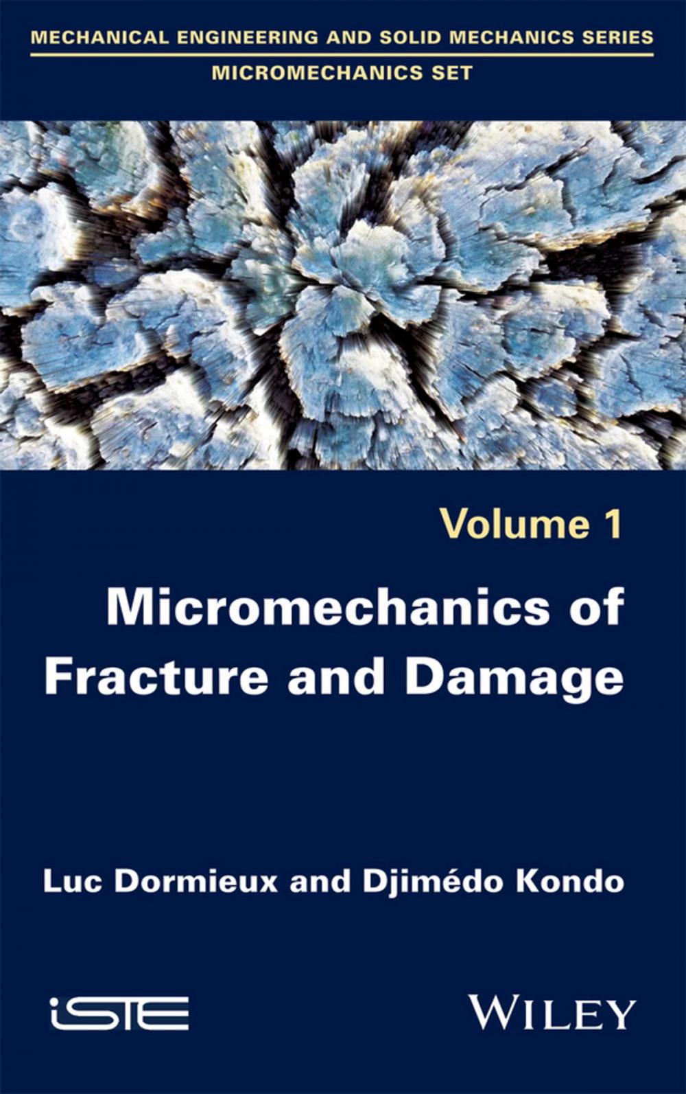 Big bigCover of Micromechanics of Fracture and Damage
