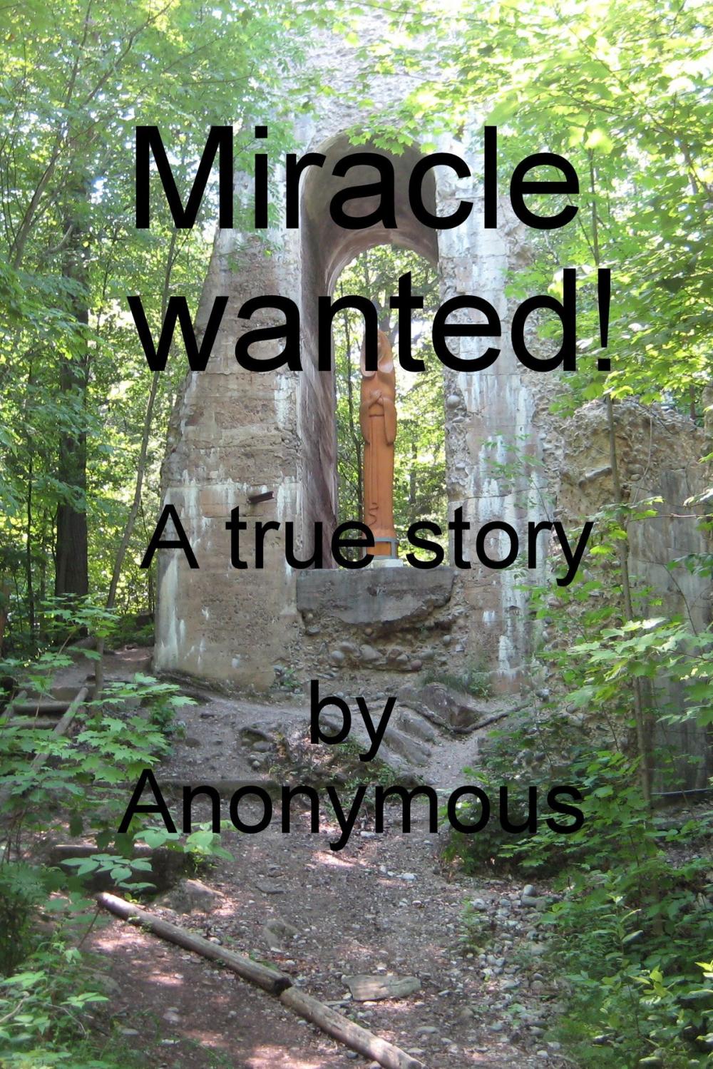 Big bigCover of Miracle Wanted!