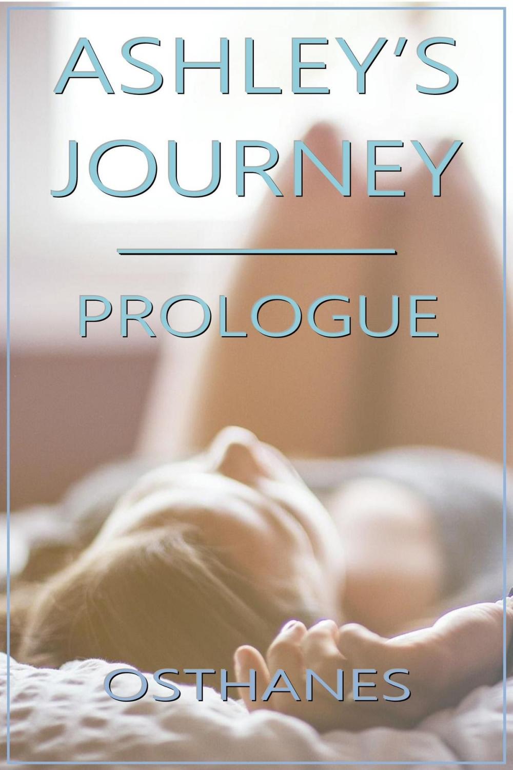 Big bigCover of Ashley's Journey: Prologue
