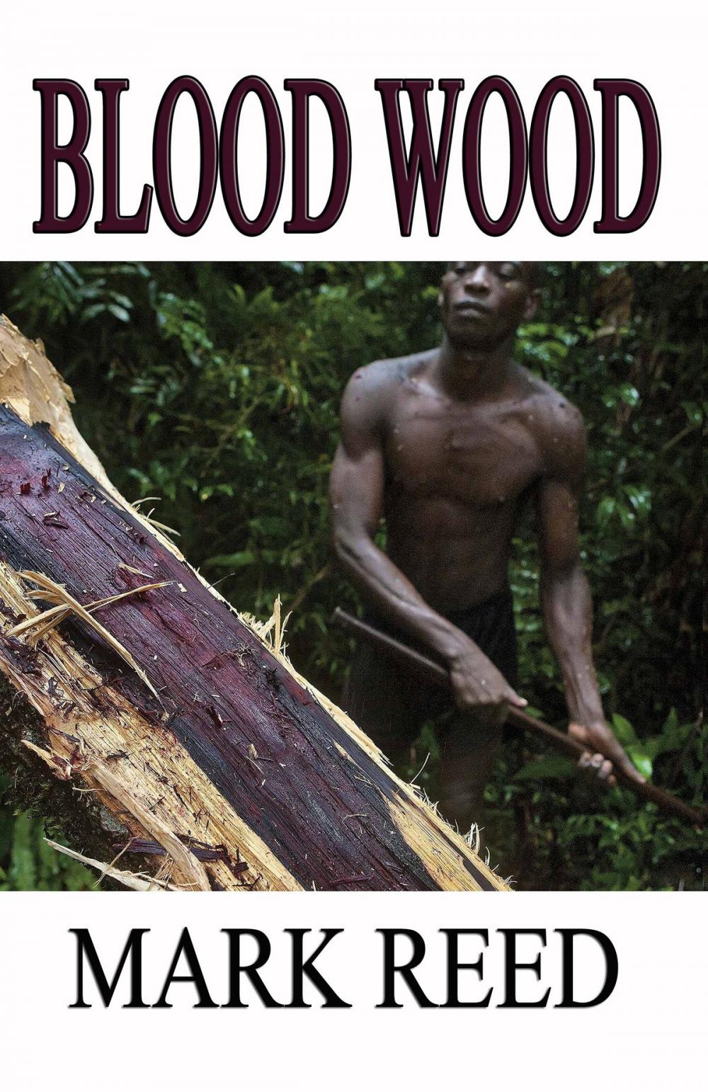 Big bigCover of Blood Wood