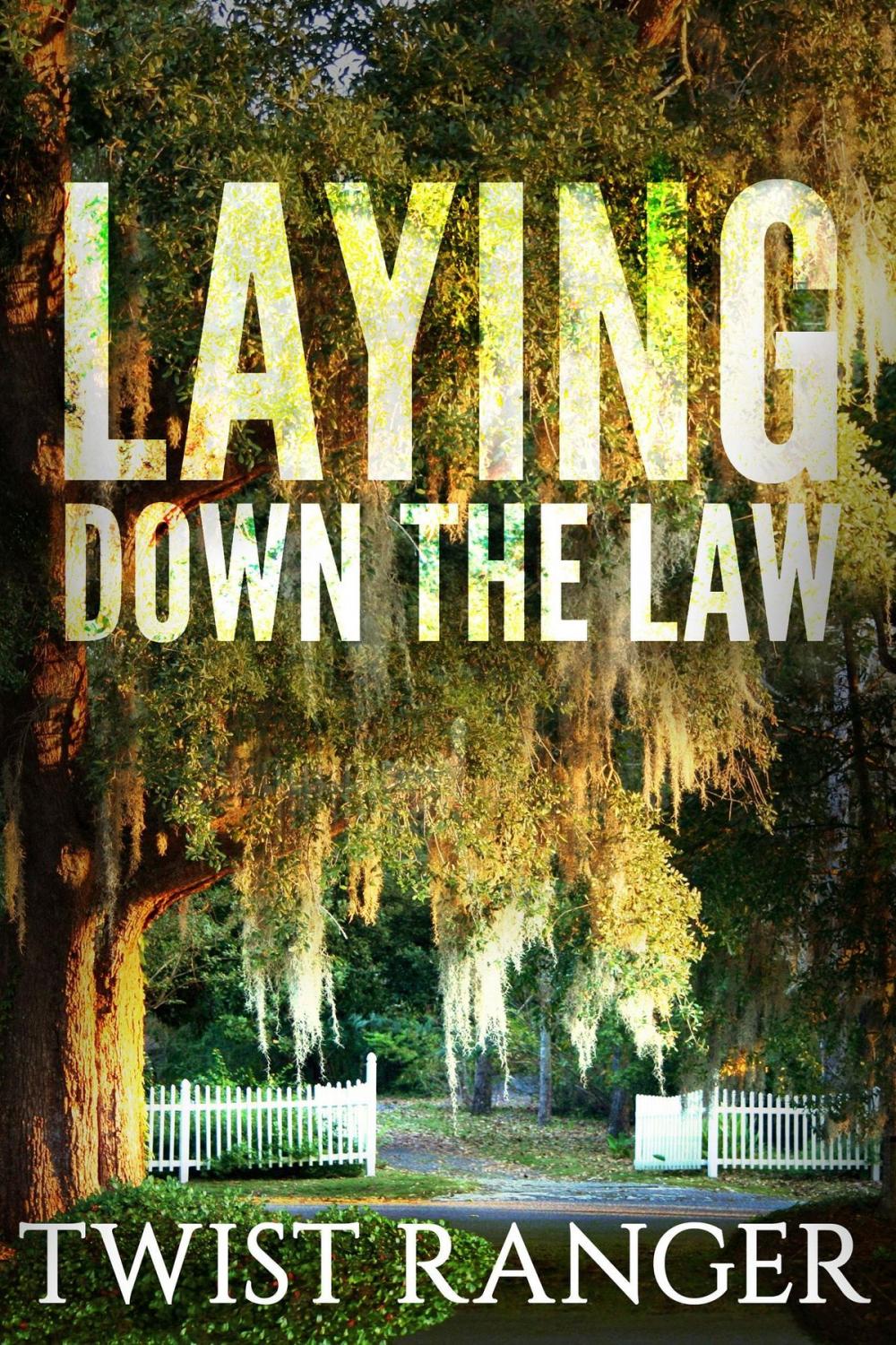 Big bigCover of Laying Down The Law