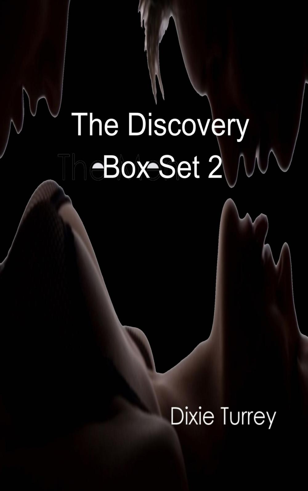 Big bigCover of The Discovery Boxed Set 2: Books 6 through 10