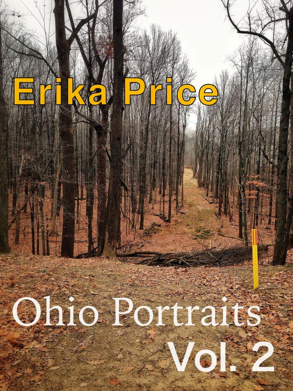 Big bigCover of Ohio Portraits Vol. 2: More Midwestern Micromemoirs