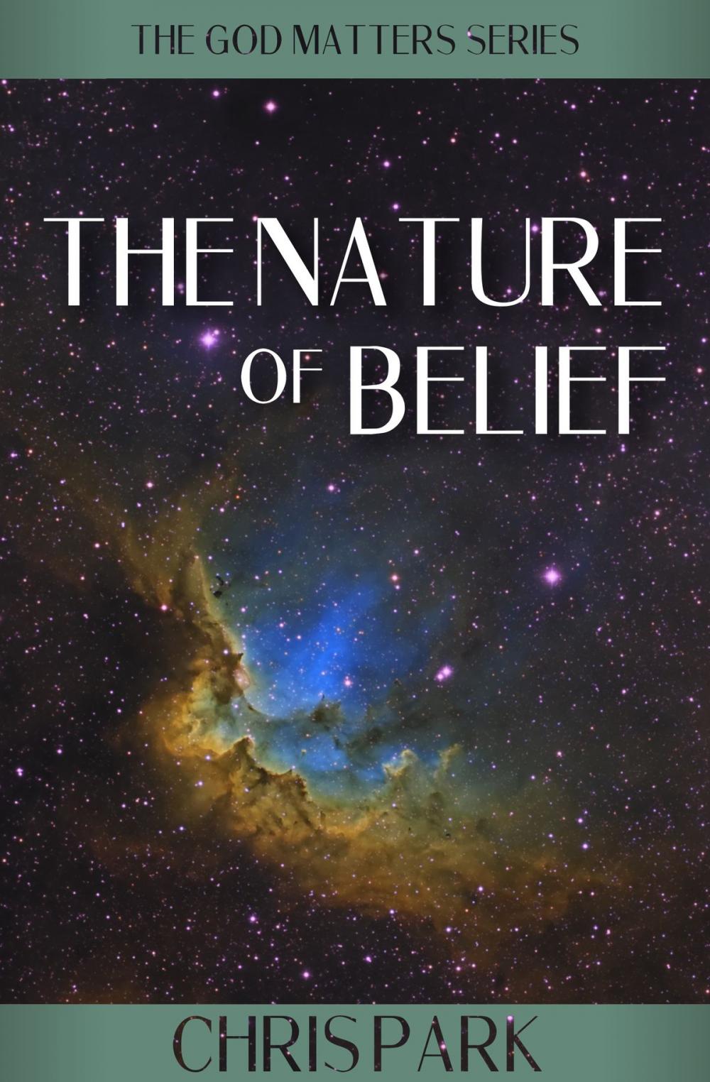 Big bigCover of The Nature of Belief