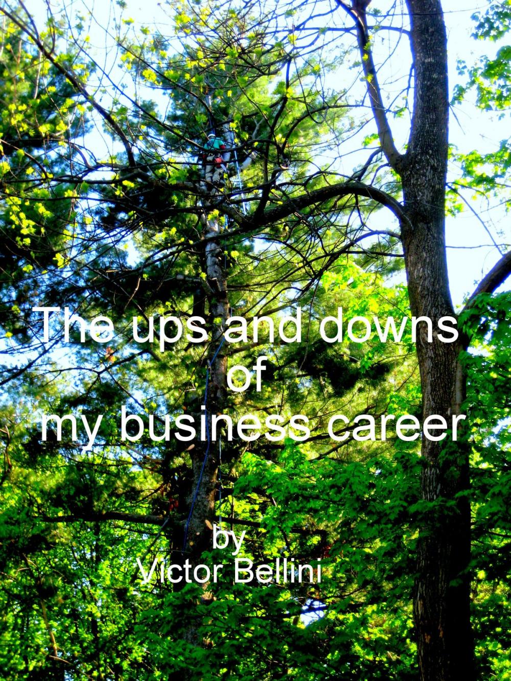 Big bigCover of The Ups And Downs Of My Business Career