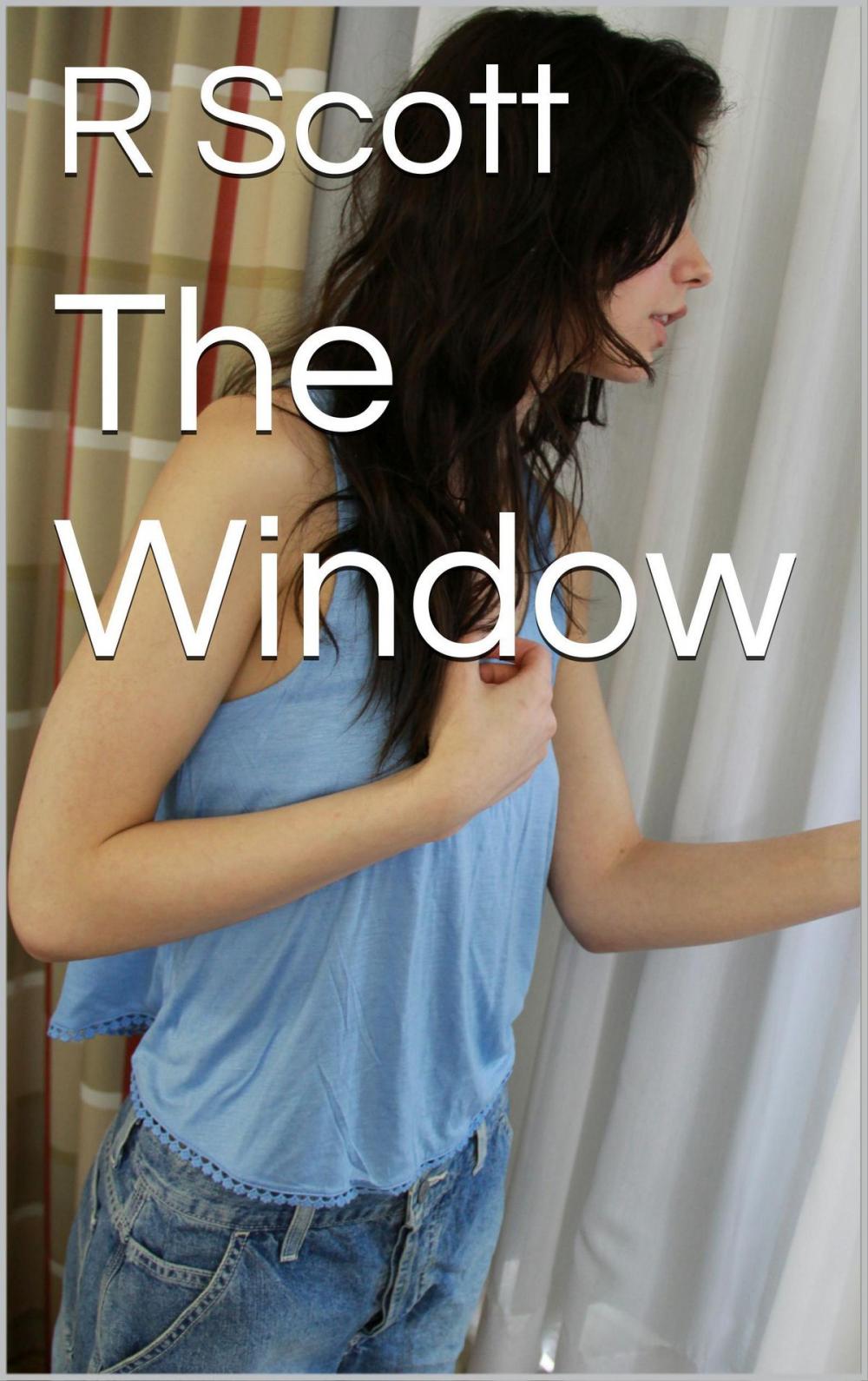 Big bigCover of The Window
