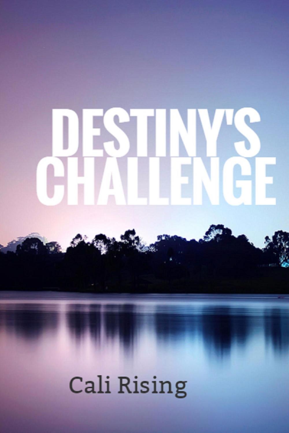Big bigCover of Destiny's Challenge
