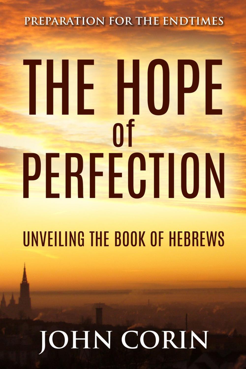 Big bigCover of The Hope of Perfection