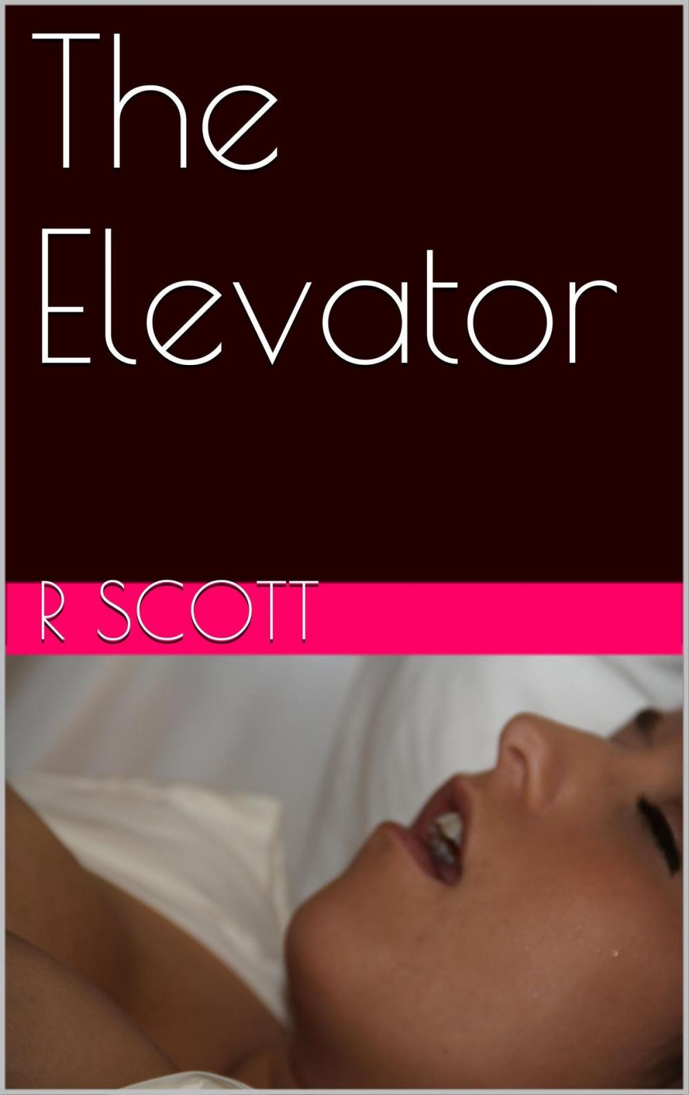 Big bigCover of The Elevator