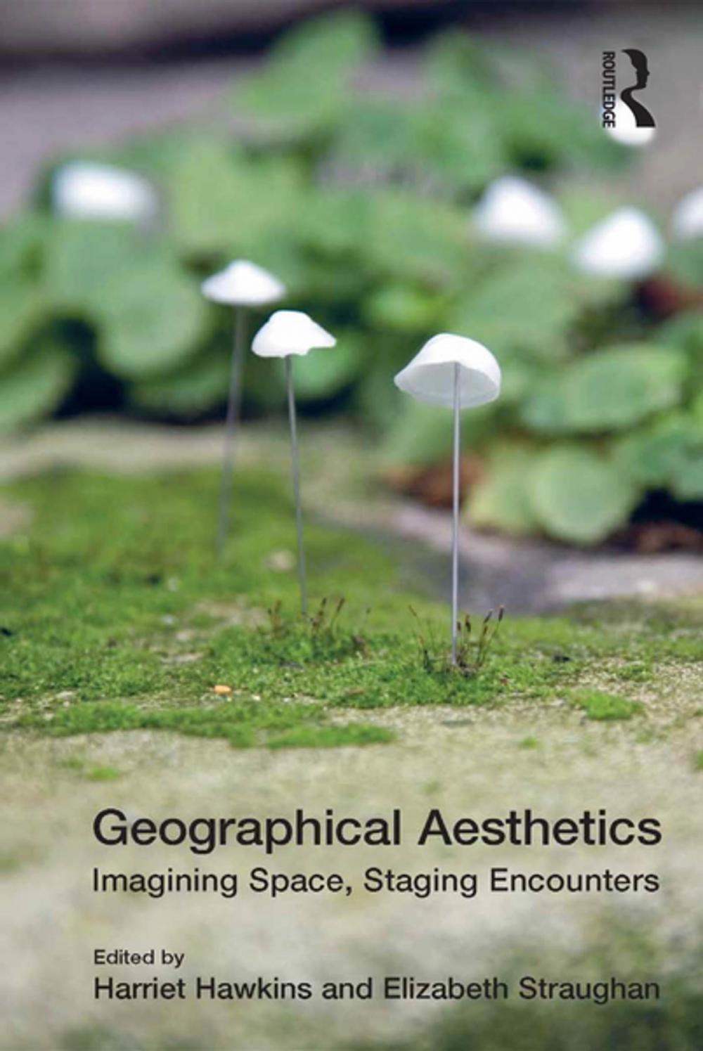 Big bigCover of Geographical Aesthetics