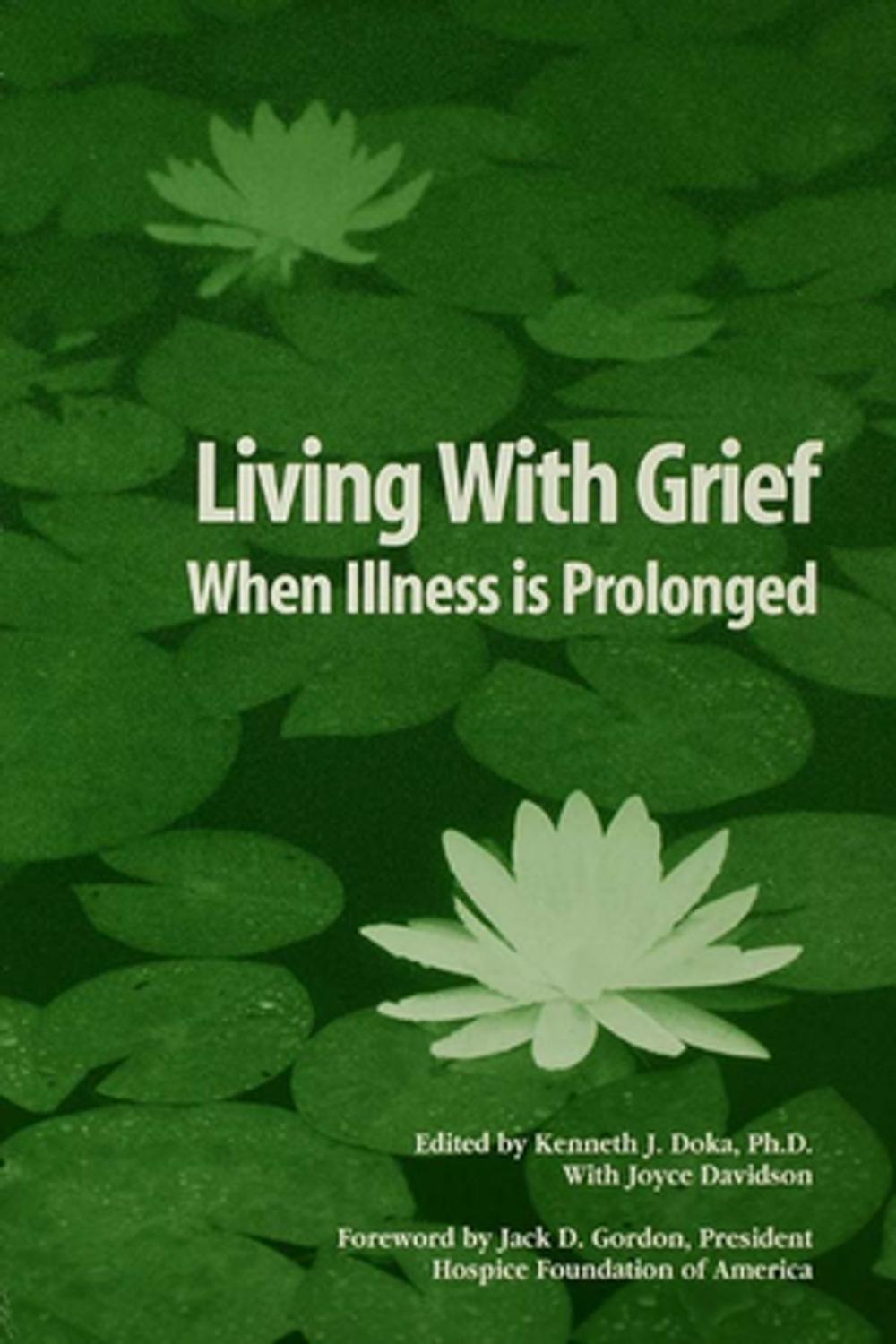 Big bigCover of Living With Grief
