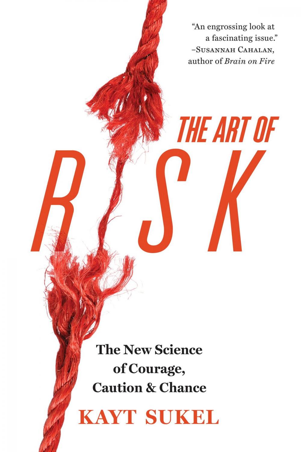 Big bigCover of The Art of Risk