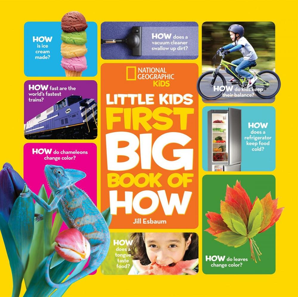 Big bigCover of National Geographic Little Kids First Big Book of How
