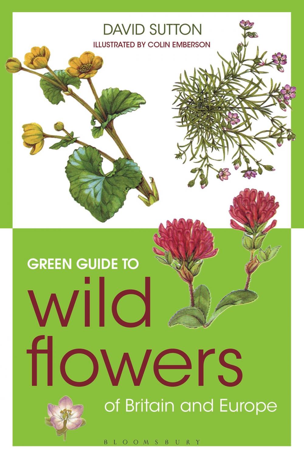 Big bigCover of Green Guide to Wild Flowers Of Britain And Europe