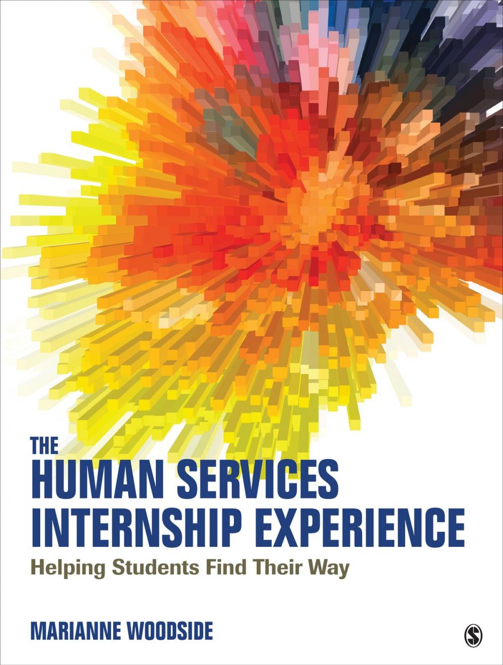 Big bigCover of The Human Services Internship Experience