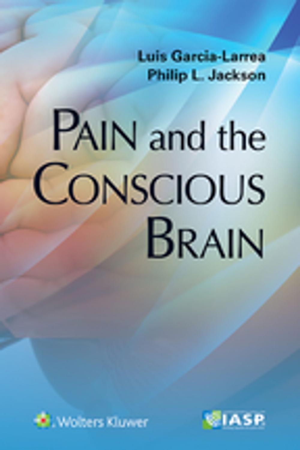 Big bigCover of Pain and the Conscious Brain