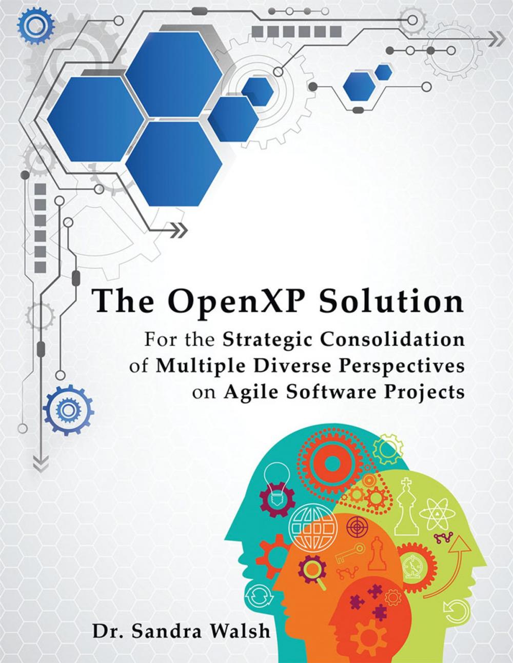 Big bigCover of The Openxp Solution
